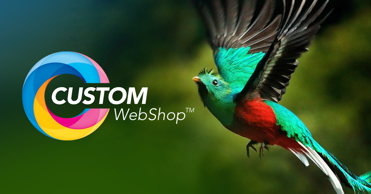 Custom WebShop